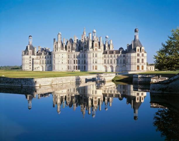 Gite De La Basilique - Basilica Gite Blois Buitenkant foto
